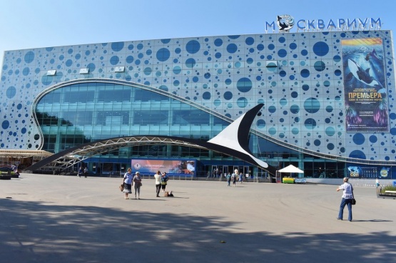 Московский дельфинарий в Москвариуме