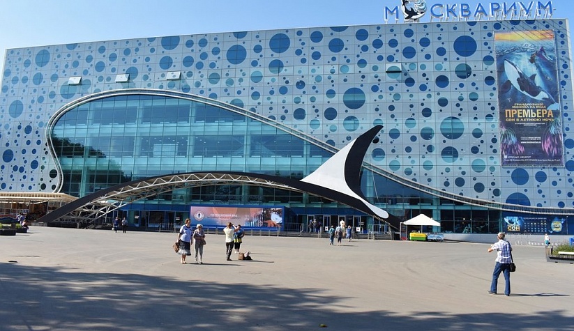Московский дельфинарий в Москвариуме